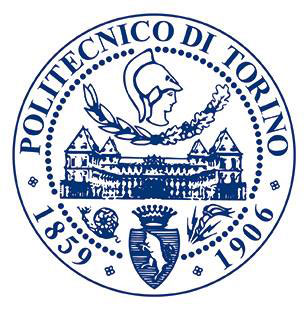 Politecnico-di-Torino_logo_opt