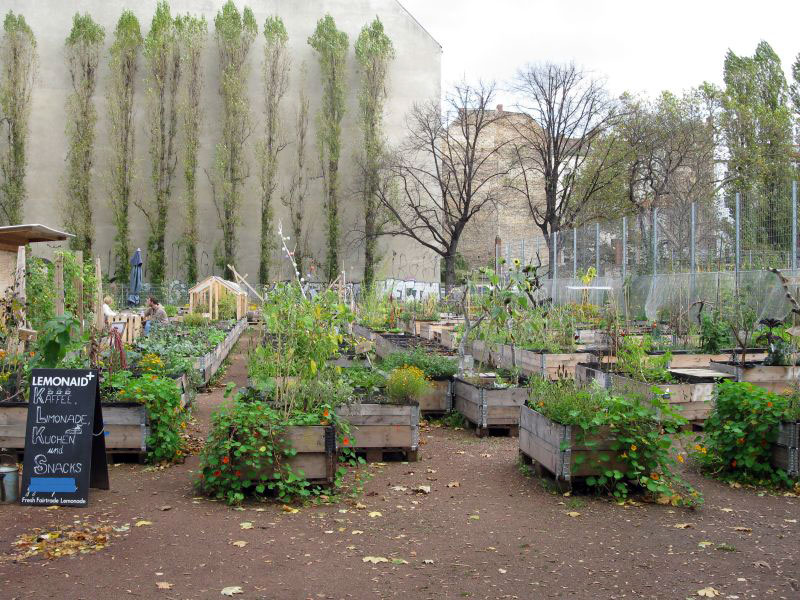 berlin-urban-gardens_o
