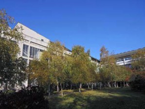 Хуманитарна акција: Срце за Милошев осмех