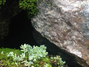 Predavanje: “Proširene prirode” – dr Despojina Zavraka (Despoina Zavraka)