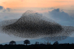 Радионица: PolyArk 5 | PolyAir