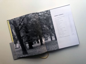 Eseji_o_gradu-Spasoje_Krunić_odabrano---2-of-16