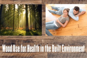 Guest Lecture: ”Wood Use For Health In The Built Environment” – dr Michael Burnard