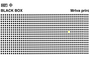 Конкурс за уметничке радове на Миксер фестивалу 2019: BlackBox – Мртва природа