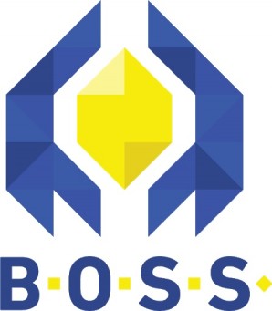 BOSS platforma – testirajte vašu poslovnu ideju