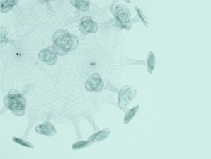 ПЛАН ПРИМЕНЕ МЕРА ЗА СПРЕЧАВАЊЕ ПОЈАВЕ И ШИРЕЊА ЕПИДЕМИЈЕ ЗАРАЗНЕ БОЛЕСТИ