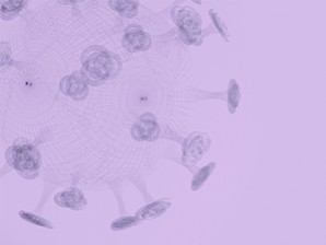 Обавештење о активацији новог налога за решавање студентских питања – COVID СИСТЕМ РАДА