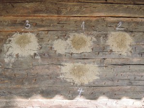 Letnja škola: Rajačke i Rogljevske pivnice