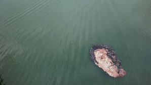 Uspeh našeg asistenta: Andrej Josifovski, dobitnik prestižne nagrade Emerging Europe