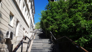 GOOD URBAN LIFE Actions – Taking Care of the Careless