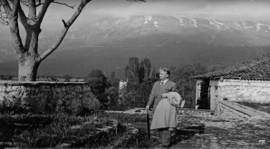 Urbanista mora biti arhitekta, Nikola Dobrović