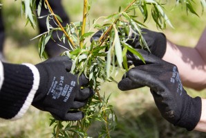 Студенти Архитектонског факултета у еколошкој акцији “Заједно за планету Земљу”