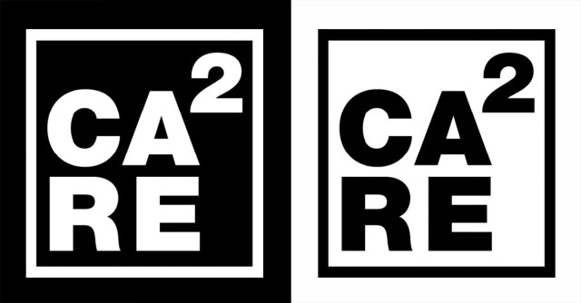 CA²RE: ДИСПОЗИЦИЈЕ (DISPOSITIONS)